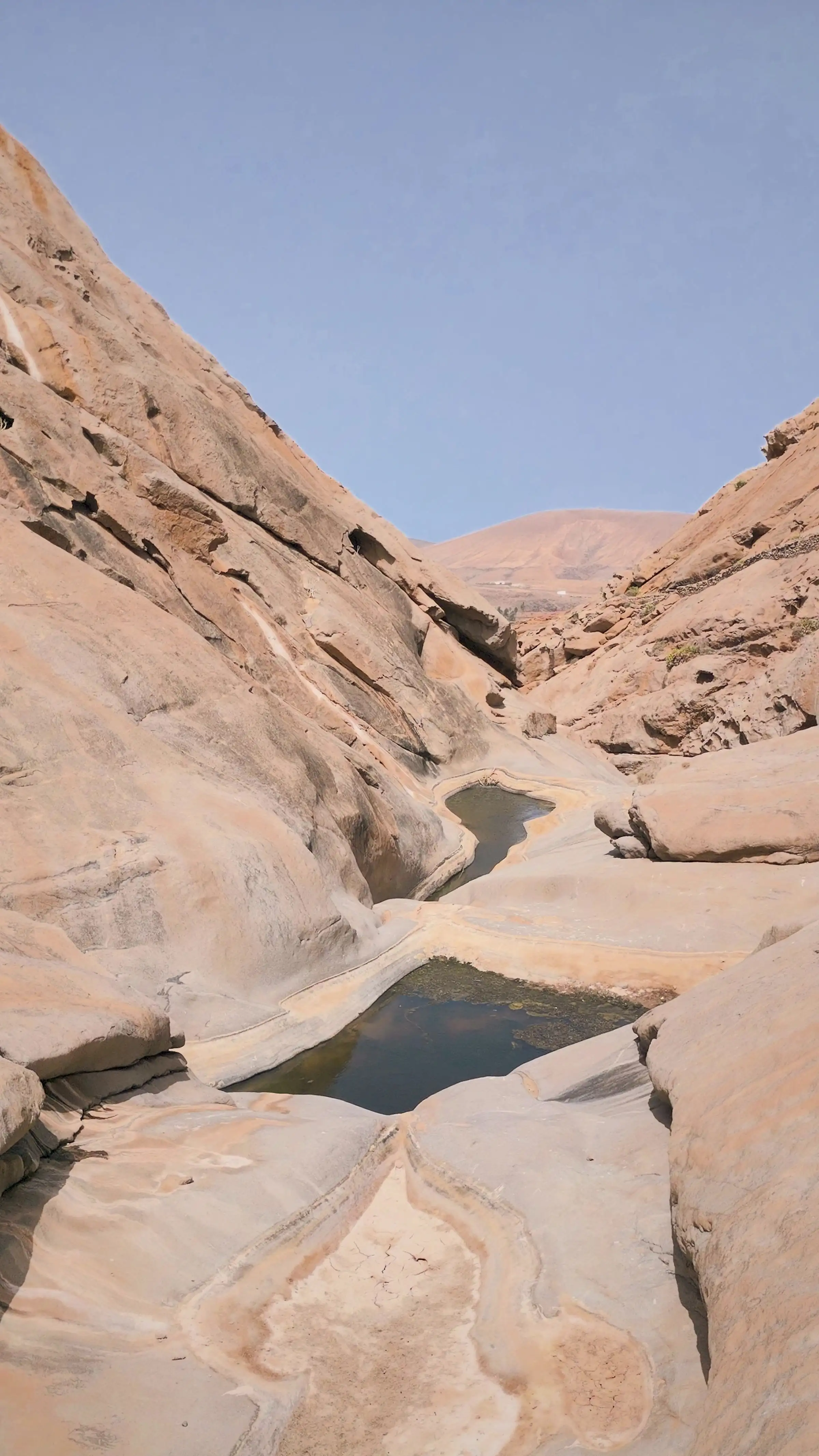 Canyon vulcanico visto dall'alto: la roccia scavata dall'acqua disegna una texture grafica marcata