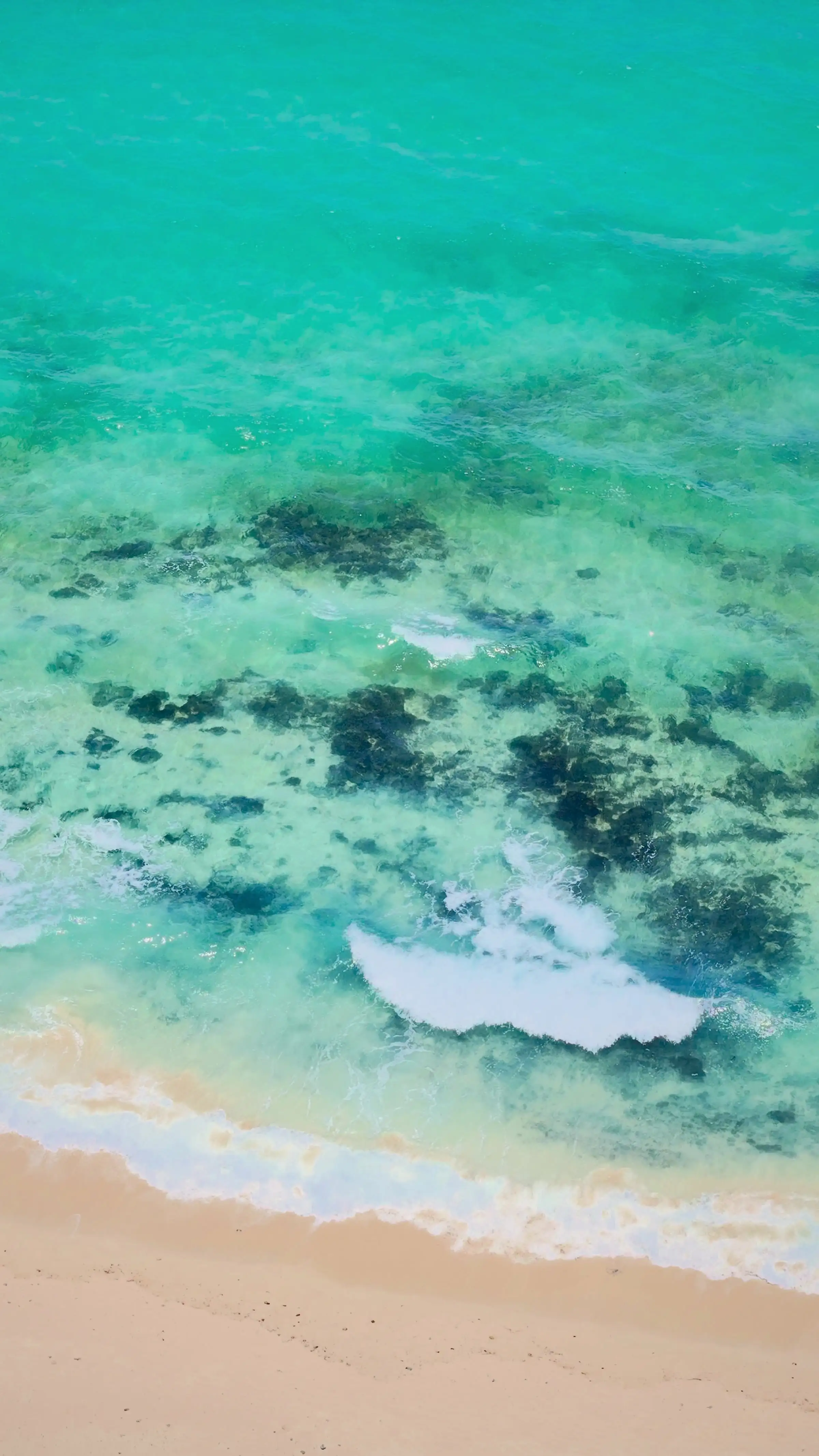 Reef poco profondo dall'acqua color smeraldo, ripreso perpendicolarmente dall'alto