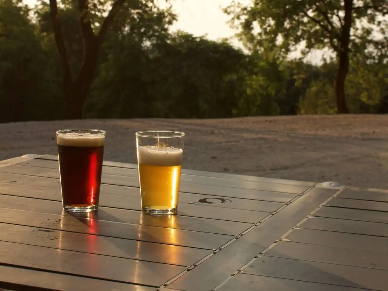 Due bicchieri di birra artigianale su un tavolo da campeggio al tramonto, uno rosso e uno chiaro. Dietro ci sono gli alberi in controluce.
