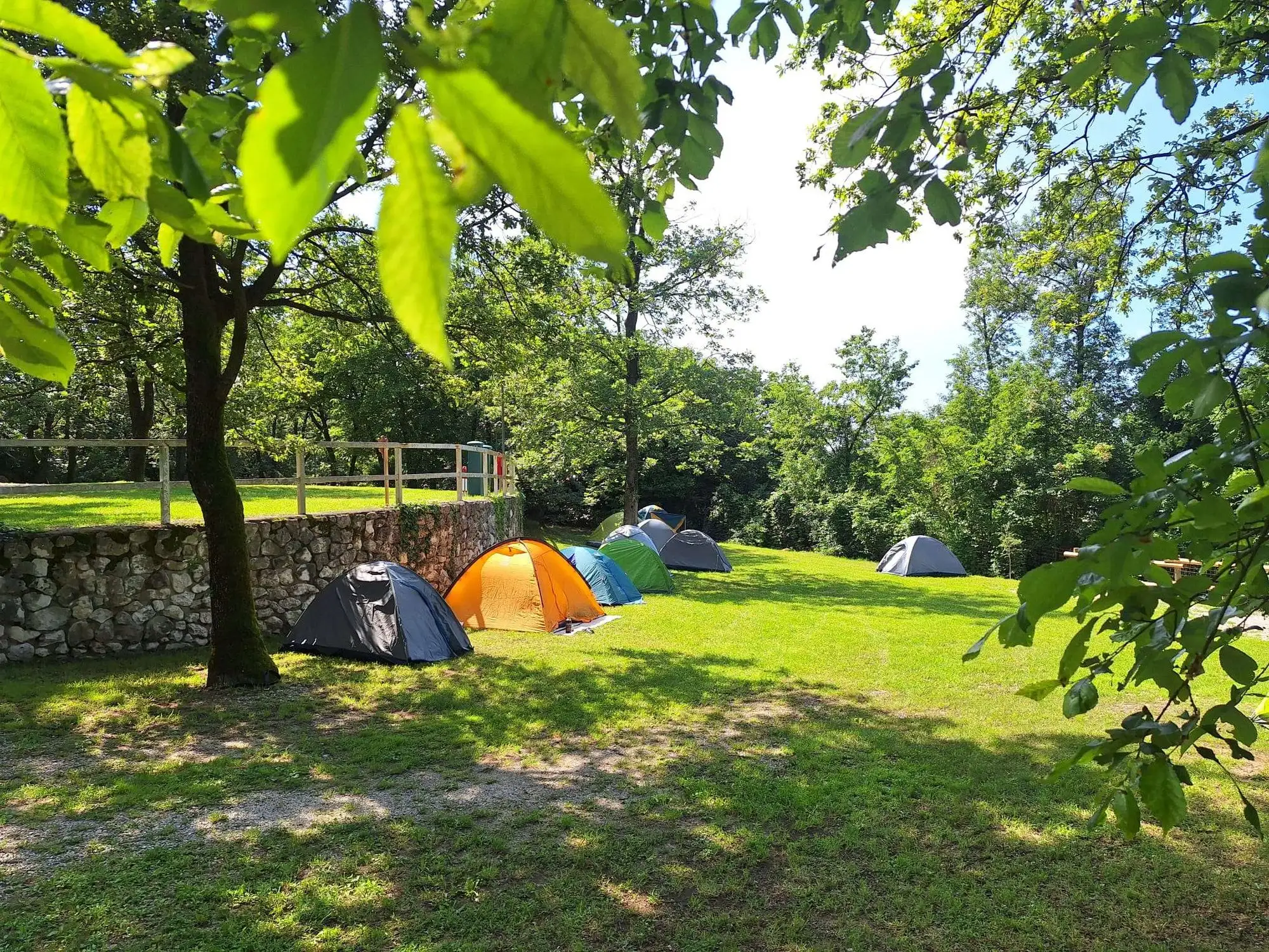 Veduta del Berici Woods Camping immerso nella vegetazione dei colli berici
