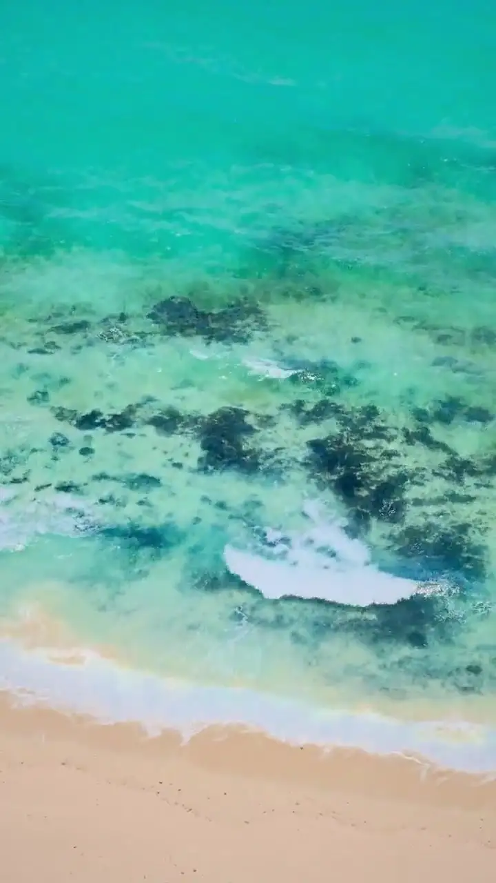 Loop verticale: acqua bassa sopra un reef, con le forme del fondale che cambiano colore